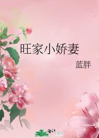 旺家小娇妻蓝胖txt