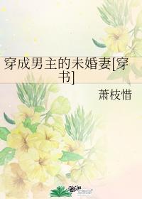穿成男主的未婚妻穿书免费全文阅读