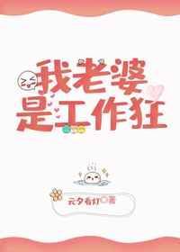 我老婆的工作