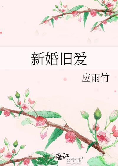 新婚旧爱txt