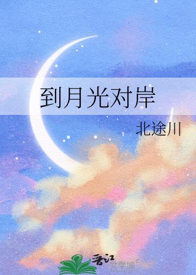 到月光对岸作者北途川