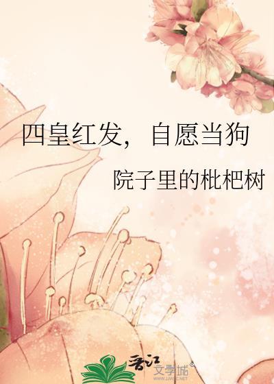 四皇红发