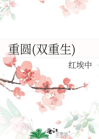 重圆(双重生)红埃中讲的什么