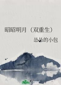 昭如明月