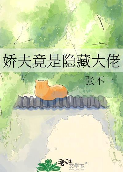 娇夫竟是隐藏大佬张不一