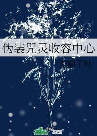 伪装咒灵收容中心观影体整理