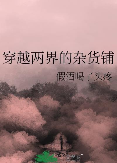 穿越两界的杂货铺免费阅读
