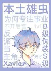 本土雄虫为何专注事业