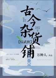 综武侠古今杂货铺