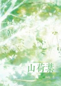 山荷叶花语精灵王