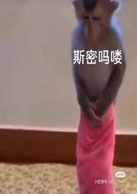 泡芙小姐属于什么动画