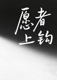 愿者上钩完整版