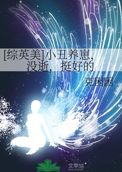 综英美小丑的妻子