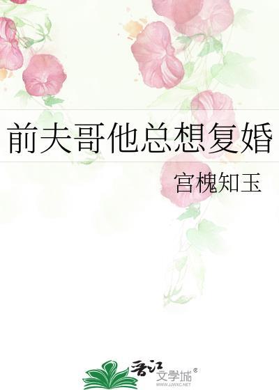 前夫总想复婚肿么破txt