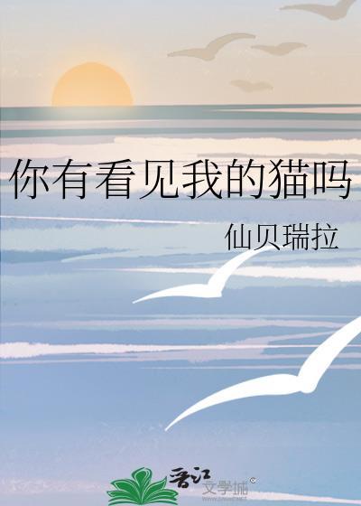你有看见我的猫吗by仙贝瑞拉txt