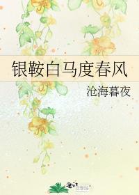 银鞍白马度春风txt番外