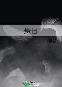 悬日讲的什么内容