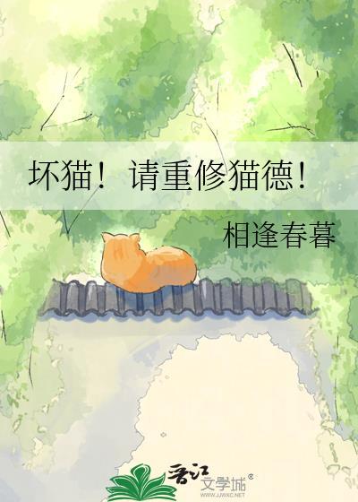 坏猫请重修猫德