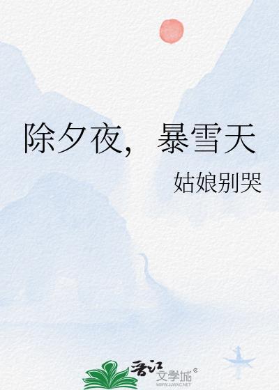 除夕夜暴雪天城市篇免费观看
