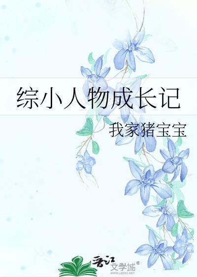 综小人物成长记完结