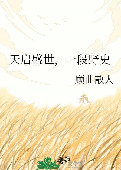 天启盛世