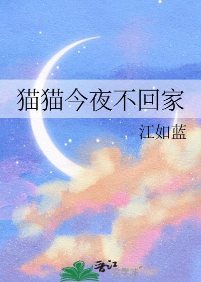 猫猫晚上不回家