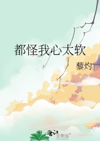 只怪我心太软歌名