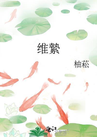 维絷txt