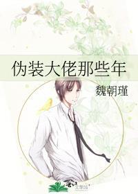 伪装大佬那些年番外全本TXT