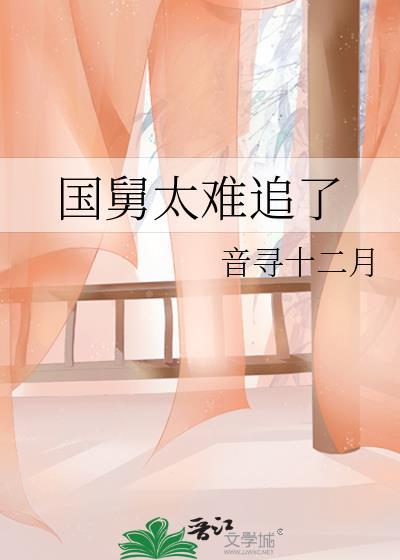 国舅太难追了txt