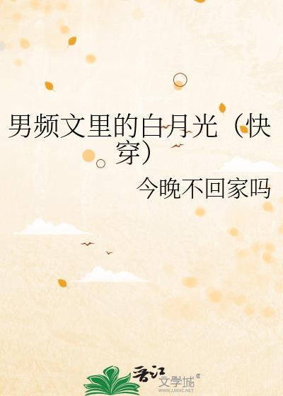 男频文是啥意思是什么