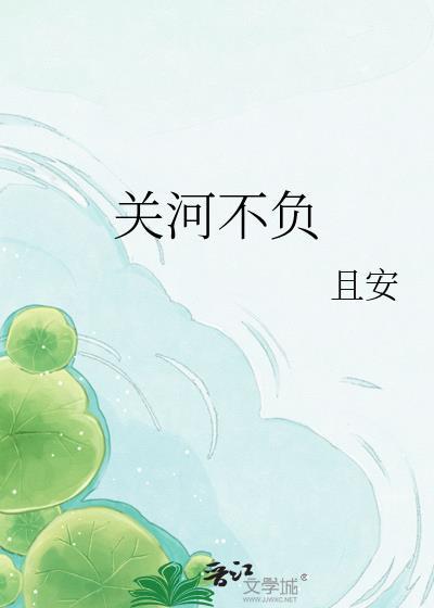 不负关山txt