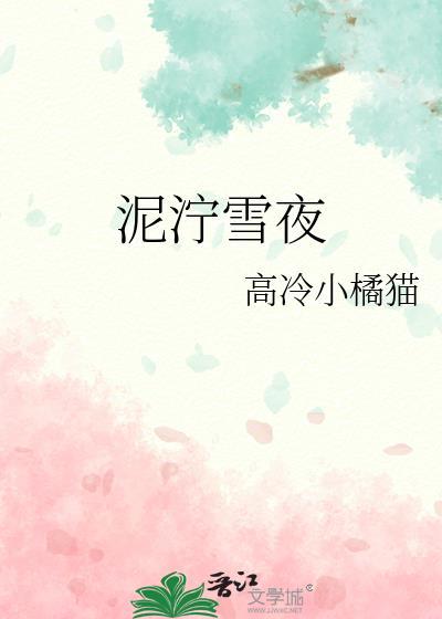 泥泞雪夜txt资源