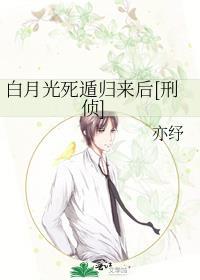 白月光死后我飞升免费