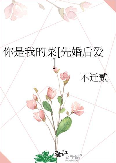 你是我的菜dj