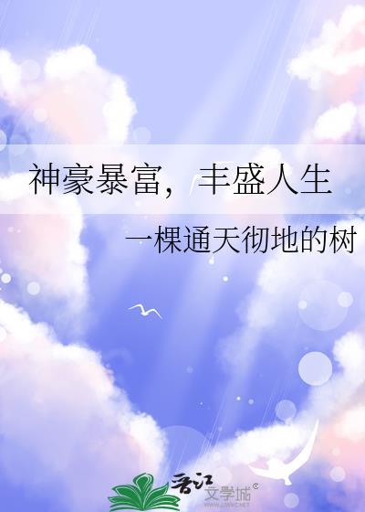丰盛人生