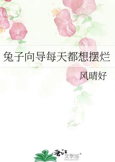 兔子向导每天都想摆烂作者风晴好