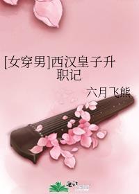 穿越西汉皇后