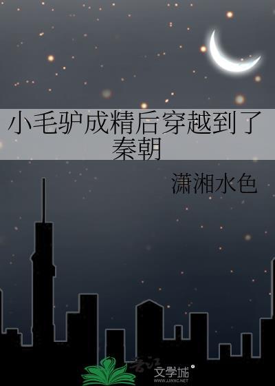 小毛驴厂