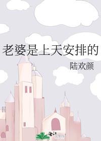 老婆是上天安排的TXT