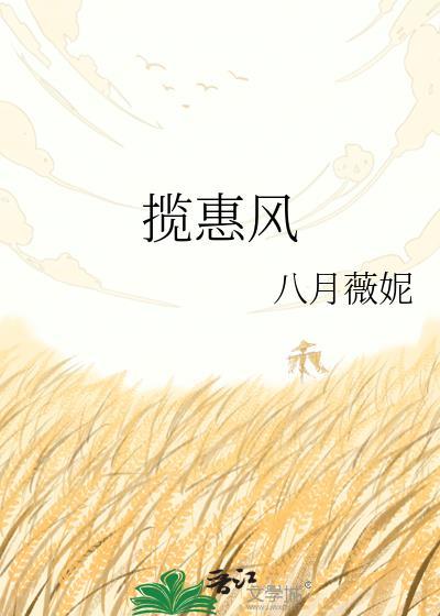 揽惠风TXT