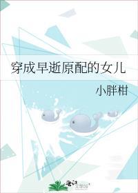白塔今夜有灯免费全文