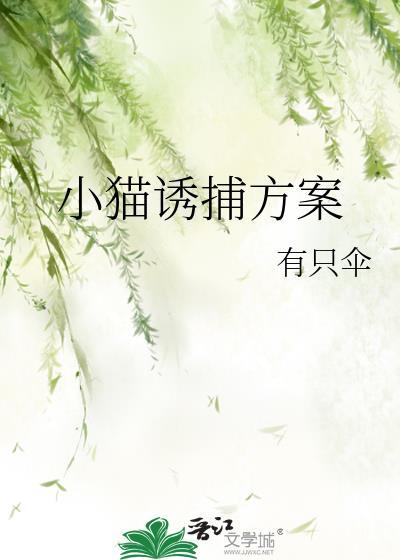 猫咪诱捕器