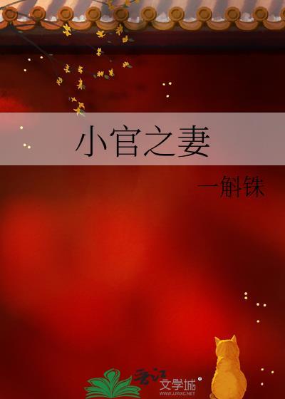 小官之妻晋江