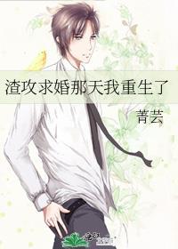 身为霸总的私人医生晋江