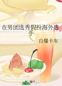 在男团选秀假扮海外选手番外