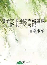 电子咒术师能靠键盘袚除电子咒灵吗笔趣阁