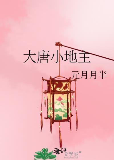 大唐小地主2