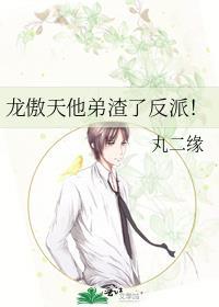 龙傲天他弟渣了反派丸二缘全文阅读