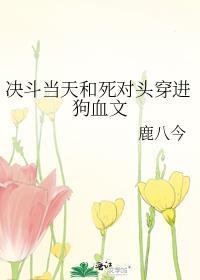 决斗当天和死对头穿进狗血文主角儿子叫什么